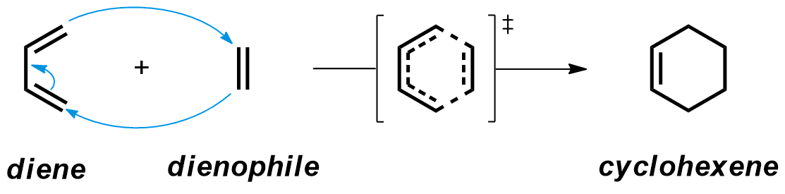 Mechanism of the Diels-Alder reaction.