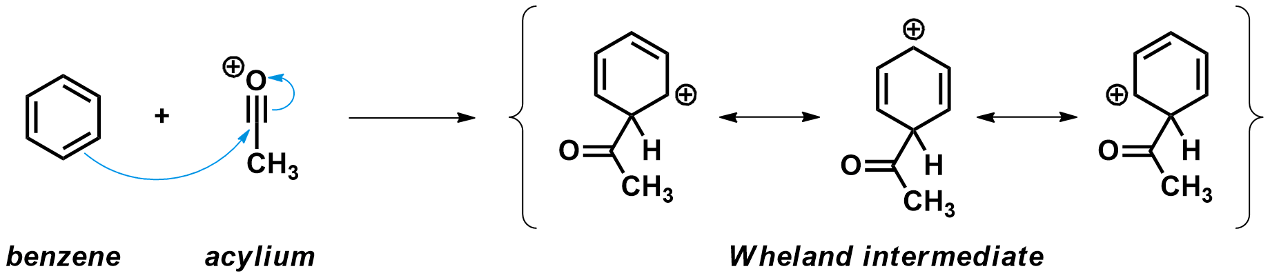 Benzene attacks an acylium cation, forming a Wheland intermediate.
